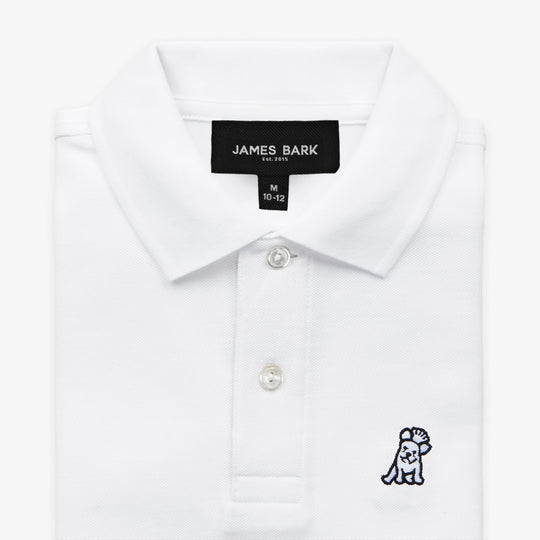 Men's Regular Fit Polo Shirt 3 - alternate